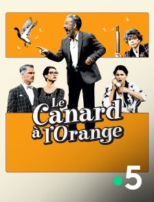 France 5 - Le canard à l'orange