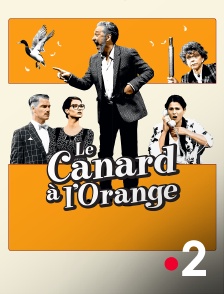 France 2 - Le canard à l'orange