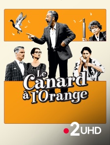 France 2 UHD - Le canard à l'orange