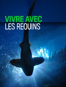 Vivre avec les requins