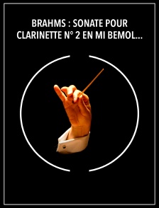 Brahms : Sonate pour clarinette n° 2 en mi bémol majeur, opus 120 - Wenzel Fuchs, Elena Bashkirova