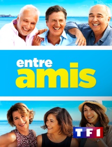 TF1 - Entre amis