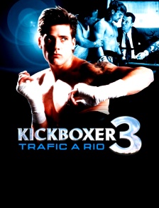 Kickboxer 3 : Trafic à Rio