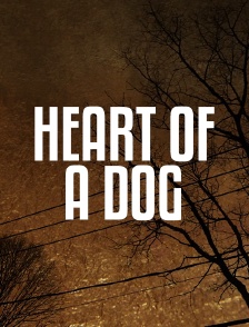 Heart of a Dog