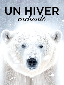 Un hiver enchanté