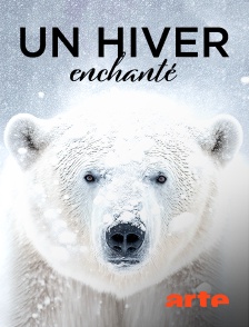 Arte - Un hiver enchanté