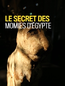 Le secret des momies d'Egypte