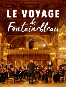 Le voyage de Fontainebleau : La musique des femmes à la cour de France