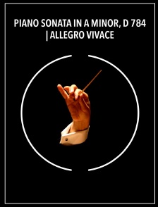 Piano Sonata in A minor, D 784 | Allegro vivace