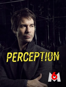M6 - Perception