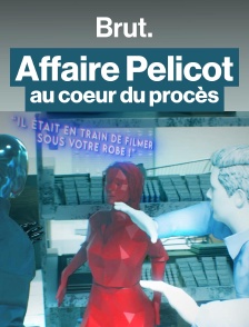 Retour sur le procès Pelicot, une affaire historique.
