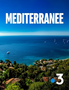 Méditerranée, l'odyssée pour la vie