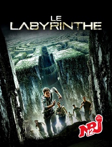 Le labyrinthe