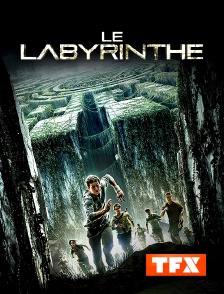 TFX - Le labyrinthe