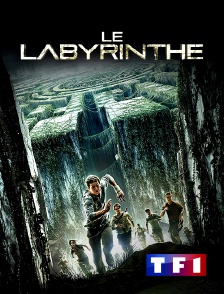 TF1 - Le labyrinthe