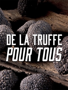 De la truffe pour tous