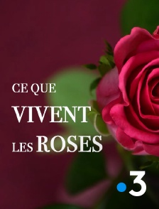 France 3 - Ce que vivent les roses