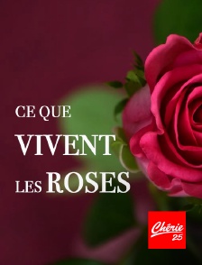 Ce que vivent les roses