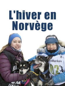 L'hiver en Norvège