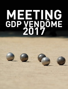 Meeting GDP Vendôme 2017