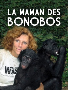 La maman des bonobos