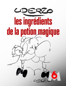 M6 - Uderzo, les ingrédients de la potion magique