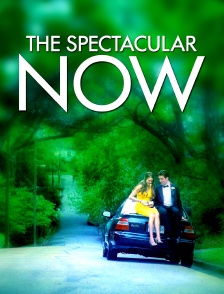 The Spectacular Now