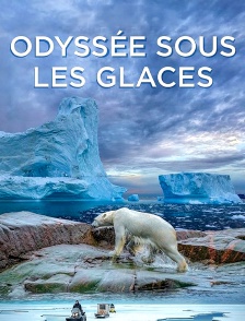 Odyssée sous les glaces