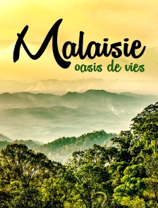 Malaisie, oasis de vies