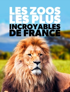 Les zoos les plus incroyables de France