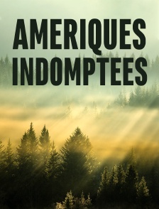 Amériques indomptées