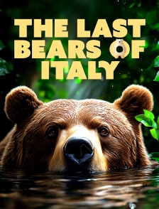 The Last Bears Of Italy