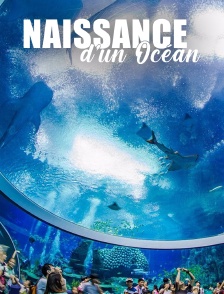 Naissance d'un océan