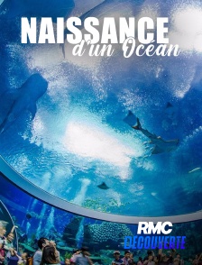 RMC Découverte - Naissance d'un océan