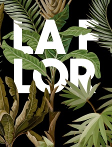 La flor