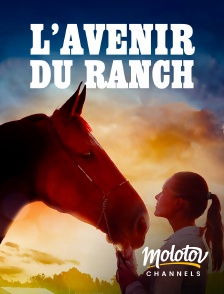 Molotov channels - L'avenir du ranch