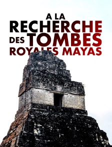A la recherche des tombes royales mayas