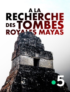 A la recherche des tombes royales mayas