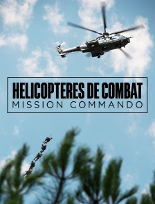 Hélicoptères de combat, mission commando