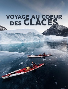 Voyage au coeur des glaces