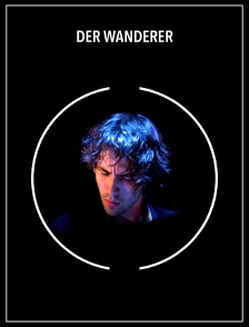 Der Wanderer (arr. Liszt)