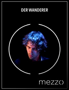 Mezzo - Der Wanderer (arr. Liszt)