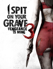 I Spit on Your Grave 3