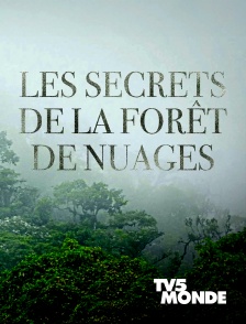 TV5MONDE - Les secrets de la forêt de nuages