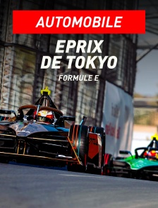Formule E : ePrix de Tokyo