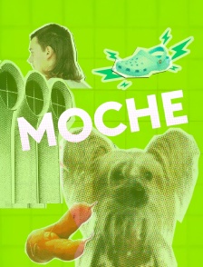 Moche