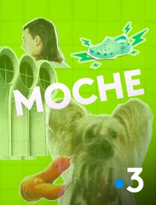 France 3 - Moche