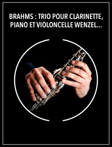 Brahms : Trio pour clarinette, piano et violoncelle Wenzel Fuchs, Elena Bashkirova, Dietmar Schwalke