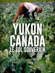 Yukon, Canada : le sol souverain