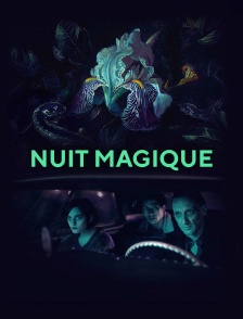 Nuit magique